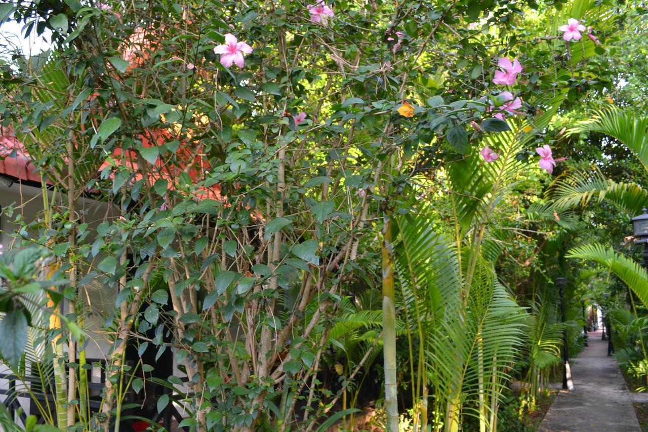 Nature Boutique Residence Siem Reap Exteriör bild