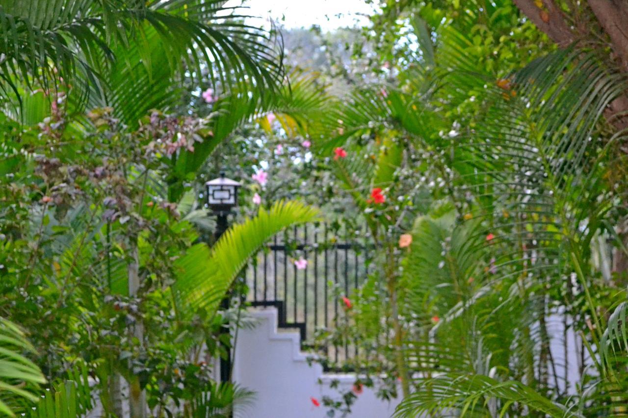 Nature Boutique Residence Siem Reap Exteriör bild